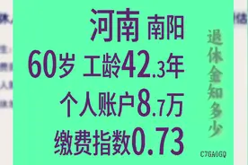 河南南阳 个人账户余额8.7万 工龄42.3年 60岁退休金多少视频封面
