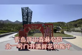 青岛浮山森林公园，北侧一号门，桃花源里开满鲜花的院子赏花视频封面