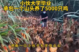 小伙子在家养鸡5000只不出问题的妙招分享给大家