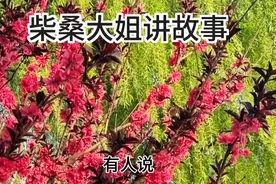 某人找许敏谈话的录音又被放出来视频封面