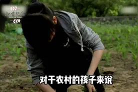 农村孩子的高考之路，道阻且长视频封面