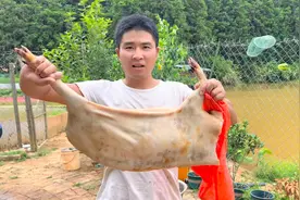 老表杀猪加餐，27斤的小香猪，这肉估计很好吃