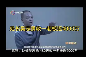 处长吴志勇480天收一老板近4000万视频封面