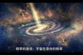 频率的高低！视频封面