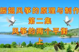 振翅风筝的原理与制作视频封面