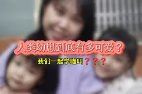 我们一起学喵叫 一起喵喵喵喵喵～