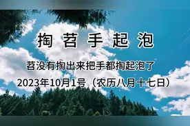 八零后小时候应该都做过这些事？白菜、香菜都长得非常不错