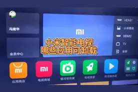 小米电视哪些自带软件能卸载？