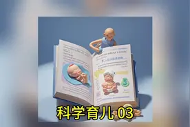 科学育儿：0-3岁婴幼儿关键发展阶段的养育指南