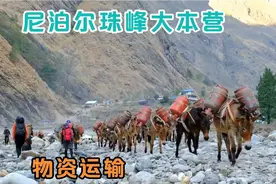 尼泊尔的珠峰大本营，物资运输太费劲了，怪不得里面的东西很贵视频封面