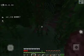 @啊鸡不鸡丢 给你逮到我了视频封面