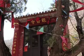 山西盂县：有座隐藏树上观音庙，因为一棵树，竟成了（网红寺庙）视频封面