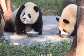 又是有玩具的一天 渝爱的嘴要笑喜人太可爱了😂万能抹布今天休息视频封面