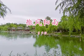 这首男声版的《微风细雨》非常好听，你猜猜他是谁唱的？