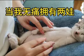 从小奶大的孩子遇到危险都会喊妈妈视频封面