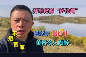 多伦湖一日游，环湖自驾一圈3个小时，风景美不胜收令人陶醉。视频封面