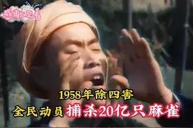 1958年捕雀运动：全国男女老幼齐上阵，捕杀麻雀近20亿只！ #历史视频封面