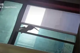 调皮的猫咪，居然真的从窗户缝里钻进来了😂