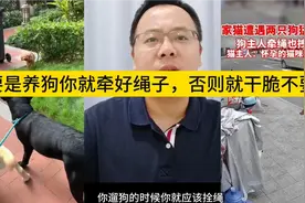 养狗你就牵好绳子，否则就不要养，对人对狗都有好处。视频封面