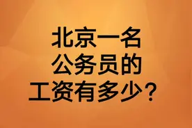 北京一名公务员的工资收入，看完你羡慕了吗？视频封面