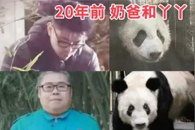 丫丫如今的李奶爸，20年前准备出国食材的是他？阔别20年的父女呀视频封面