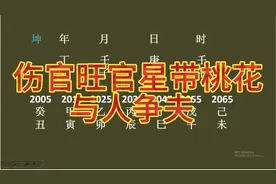 伤官旺，官星带桃花，与人争夫！视频封面