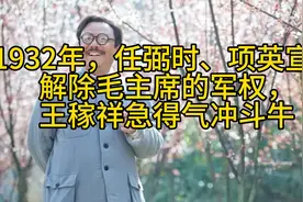 1932年，任弼时、项英宣布解除毛主席的军权，王稼祥急得气冲斗牛视频封面