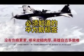 华为的这些新标签你知道吗？