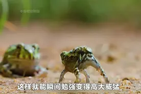 2分48秒视频，5.8部精彩电影片段的梗，满嘴顺口溜，准备考研吗？