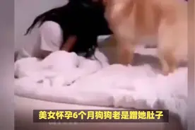 美女怀孕6个月狗狗老是蹭她肚子，发现不对劲，检查后当场崩溃了视频封面