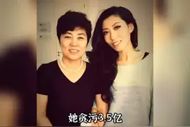 《最好的安排》背后的故事令人痛心疾首！视频封面