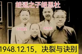 胡适幼子胡思杜：他（胡适）总是人民的敌人，也是我自己的敌人视频封面