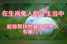 在生肖兔人的一生当中，能够帮扶他最多的贵人有哪几个视频封面