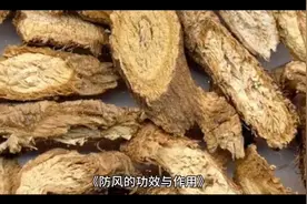 防风的功效与作用视频封面