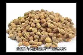 挑战365天学完中药（第332天  益智仁）视频封面