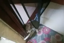 你是不是大病？哈哈哈🤣