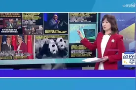 都需要我们！太难了！马来西亚需要稀土提炼技术！芬兰需要盖海洋视频封面