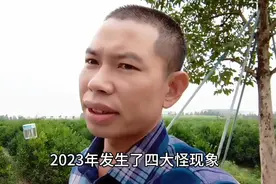 今年发生了四大怪现象，到底是什么原因造成的，大家看是不是这样视频封面