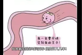 找准最佳排卵时间受孕，提高怀儿几率！