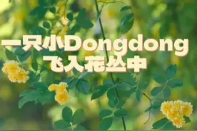 保姆级教程 蛋仔走入现实的保姆级教程来了