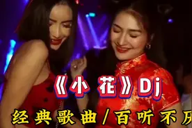 经典劲爆Dj《小花》优美动感的旋律超嗨超好听视频封面