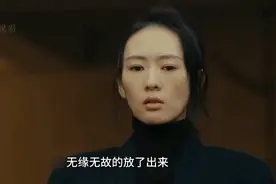 微暗之火林方路为了打心理战将周洛抓捕入狱并放出了南雅视频封面