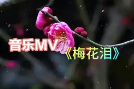 《梅花泪》K歌用-音乐MV视频封面