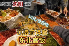 北京琪哥夫妻二刷沈阳，沉浸式体验16元一位任吃的东北盒饭视频封面