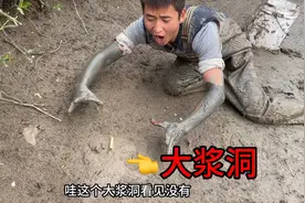 比头还大的浆洞，这条鳝鱼究竟有多大？上货瞬间美女都惊呆了！视频封面