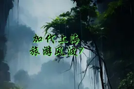 加代上海旅游风波7视频封面