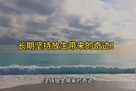 长期坚持放生带来的奇迹！视频封面