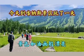 今天到喀纳斯游玩，门票230元，这里如油画般漂亮，不虚此行。视频封面