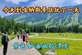 今天到喀纳斯游玩，门票230元，这里如油画般漂亮，不虚此行。视频封面