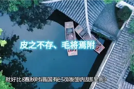 典故———皮之不存    毛将焉附视频封面